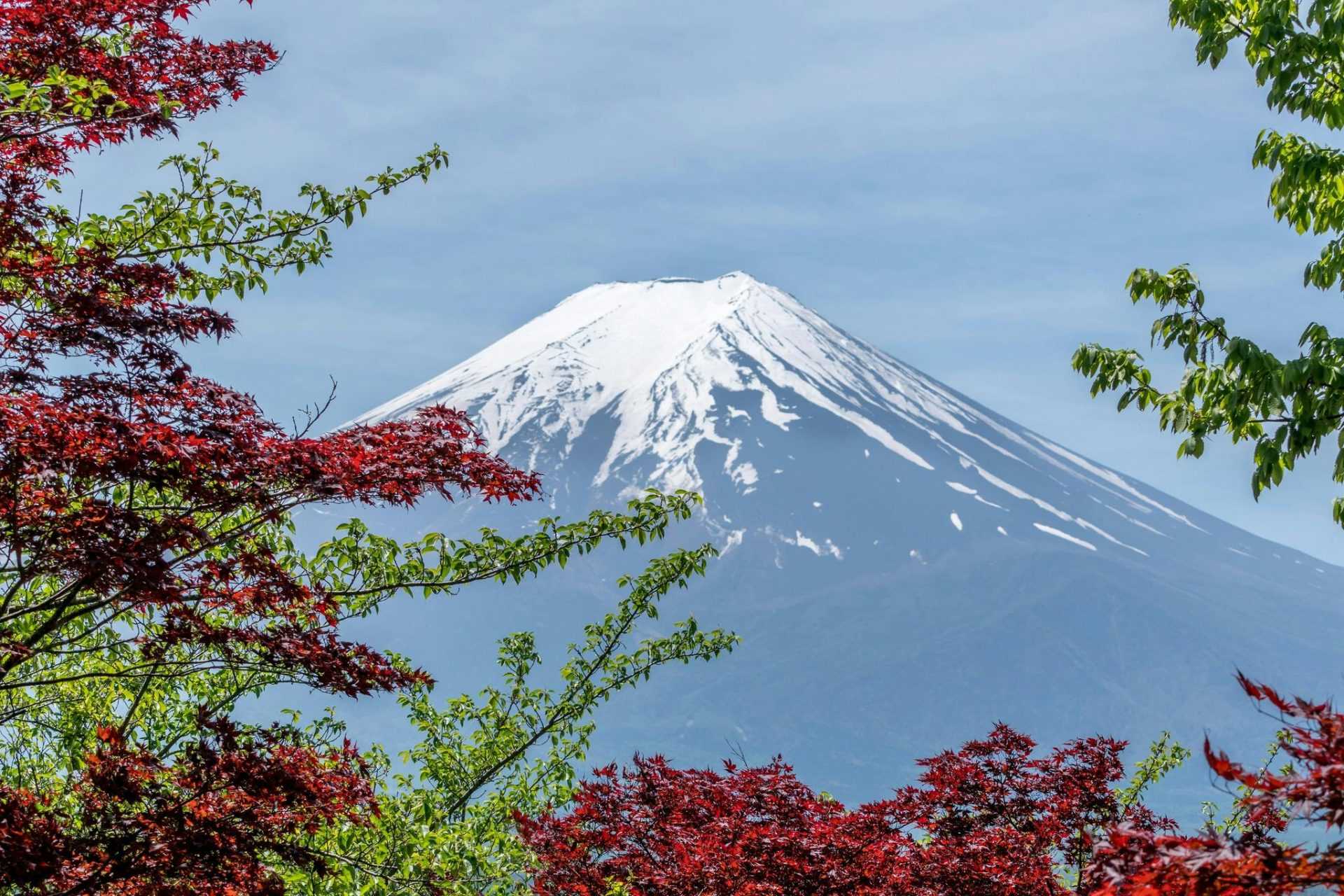 Fuji-Berg mit roten Blättern